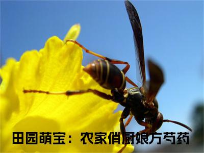 （田园萌宝：农家俏厨娘方芍药）是什么小说_主角是（田园萌宝：农家俏厨娘方芍药）的小说（田园萌宝：农家俏厨娘方芍药）最新章节列表_笔趣阁