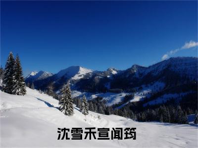 沈雪禾宣闻筠（沈雪禾宣闻筠）全文免费阅读无弹窗大结局_ (沈雪禾宣闻筠小说免费阅读)最新章节列表_笔趣阁