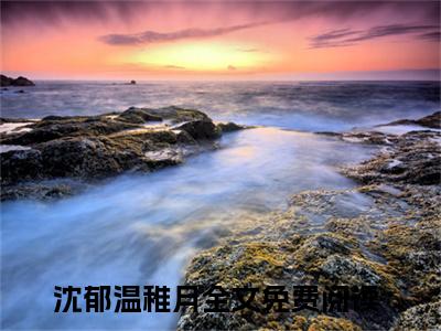 沈郁温稚月（沈少的心尖痣又软又乖）全文免费阅读-小说沈郁温稚月大结