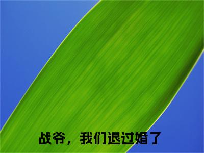 战煜枭陆思艺（战爷，我们退过婚了）全文免费阅读最新章节_战煜枭陆思艺大结局精彩阅读_笔趣阁（战爷，我们退过婚了）