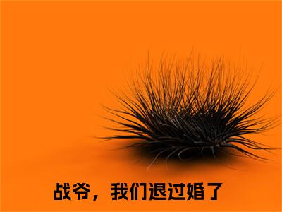 战爷，我们退过婚了（战煜枭陆思艺）全文免费阅读无弹窗_战爷，我们退过婚了（战煜枭陆思艺）全文阅读-笔趣阁