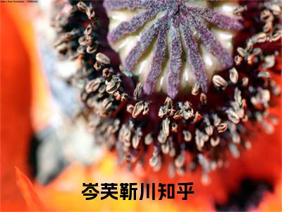 岑芙靳川全文+番外免费阅读_（岑芙靳川全文+番外免费阅读无弹窗）岑芙靳川最新章节列表笔趣阁（岑芙靳川全文+番外）