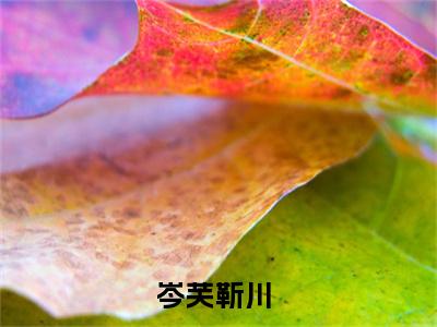 （岑芙靳川）抖音岑芙靳川小说阅读完结版-岑芙靳川小说全文免费阅读