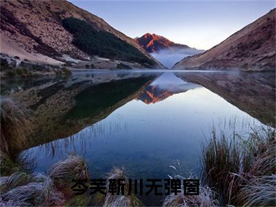 岑芙靳川是什么小说-（岑芙靳川）小说全文阅读