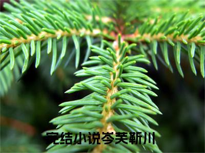 岑芙靳川小说主角叫什么 岑芙靳川全文免费阅读大结局