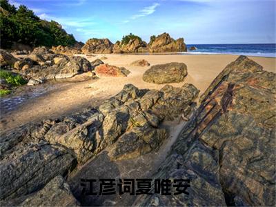 小说《要知道，破坏军婚是要受处分的》全文免费阅读无弹窗-江彦词夏唯安小说全文在线赏析