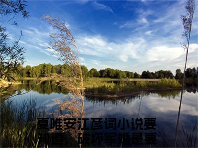 夏唯安江彦词（要知道，破坏军婚是要受处分的）抖音热推小说全集无删减，要知道，破坏军婚是要受处分的小说在线免费阅读大结局