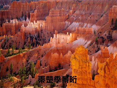 秦楚季景珩（秦楚季景珩）最新章节阅读-秦楚季景珩小说大结局