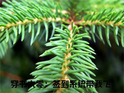 洛半夏（穿书六零：签到系统带我飞）全文免费在线阅读_洛半夏全文阅读_笔趣阁（穿书六零：签到系统带我飞）