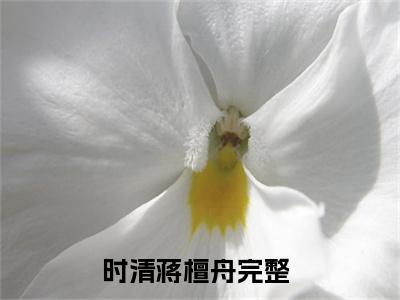 时清蒋檀舟全文免费阅读_时清蒋檀舟无弹窗最新章节