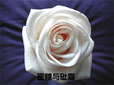 蜜糖与砒霜（霜双最新全章节大结局）全文阅读-蜜糖与砒霜霜双在线小说免费阅读