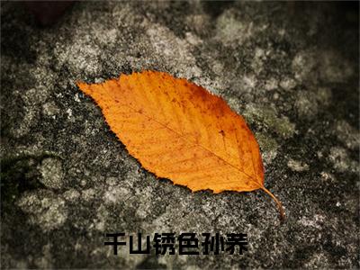 千山锈色全文免费阅读_（孙荞小说）千山锈色言情小说在线阅读笔趣阁（孙荞）