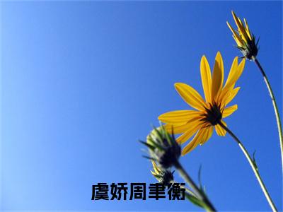 虞娇周聿衡（虞娇周聿衡）小说全文免费阅读无弹窗大结局_（虞娇周聿衡）虞娇周聿衡最新章节列表笔趣阁（虞娇周聿衡）