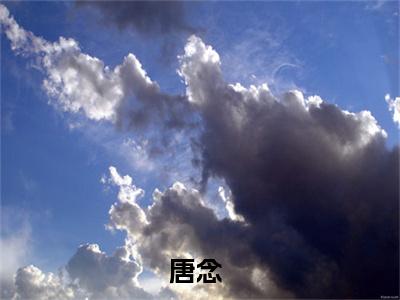 逆天狂妻：玄学大佬又野了（唐念）小说全文免费读无弹窗大结局_逆天狂妻：玄学大佬又野了小说全文免费阅读最新章节列表笔趣阁