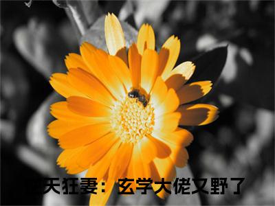 （唐念）逆天狂妻：玄学大佬又野了新书热荐免费小说-逆天狂妻：玄学大佬又野了小说全文完整版阅读