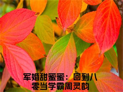 军婚甜蜜蜜：回到八零当学霸（周灵韵）全文免费阅读无弹窗大结局_（周灵韵）免费阅读无弹窗最新章节列表