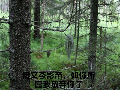 穆霓岑衍皓小说免费阅读无弹窗-穆霓岑衍皓（岑影帝，如你所愿我放弃你了）小说免费阅读无弹窗大结局