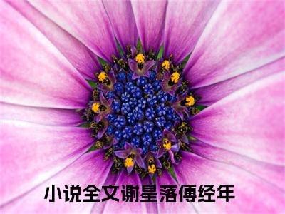 谢星落傅经年是的小说-《谢星落傅经年》完整章节阅读无弹窗免费阅读大结局