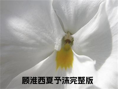 顾淮西，我在你眼里到底算什么（顾淮西夏予沫）完整版小说阅读_顾淮西夏予沫全文免费阅读笔趣阁（顾淮西，我在你眼里到底算什么）