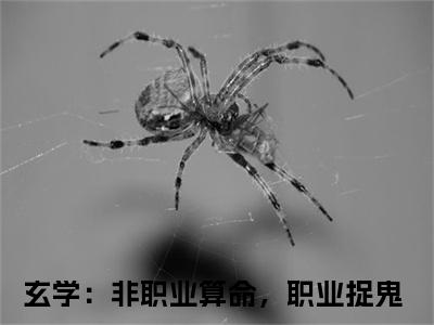 主角为玄学：非职业算命，职业捉鬼的小说（卫绵陈金辉）大结局免费阅读-卫绵陈金辉全文免费阅读笔趣阁