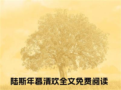 陆斯年慕清欢小说大结局免费阅读-精彩小说（陆斯年慕清欢）