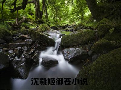 沈凝姬御苍小说(沈凝姬御苍)小说全文免费阅读_（沈凝姬御苍）沈凝姬御苍最新章节列表