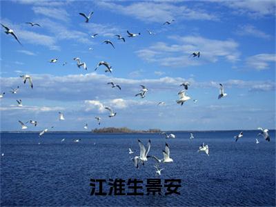 江淮生景安（江淮生景安）全文免费阅读无弹窗_江淮生景安最新小说_笔趣阁（江淮生景安）