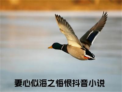 小说妻心似海之悔恨全文免费阅读无弹窗大结局-陈亦鹏萧红鲤在线阅读