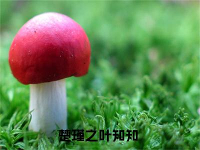 楚瑾之叶知知推荐免费新书 -楚瑾之叶知知小说阅读无弹窗