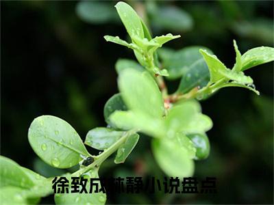 徐致成林静小说全文无删减版在线阅读_（徐致成林静）小说全文免费阅读_徐致成林静最新章节列表_笔趣阁