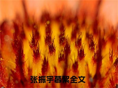 张振宇慕絮小说（张振宇慕絮）全文免费阅读无弹窗大结局_张振宇慕絮全文免费完结版阅读（张振宇慕絮）