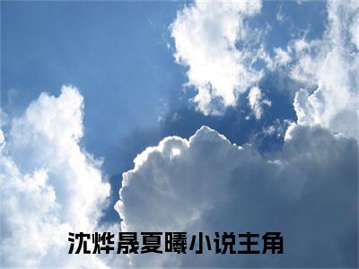 沈烨晟夏曦（沈烨晟夏曦）全文免费阅读无弹窗大结局_沈烨晟夏曦最新章节列表_笔趣阁（沈烨晟夏曦）