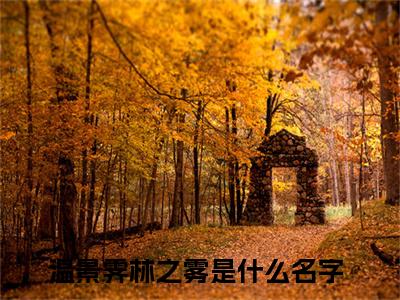 温景霁林之雾小说最新章节（温景霁林之雾）全文免费阅读无弹窗大结局_温景霁林之雾免费阅读（温景霁林之雾小说）