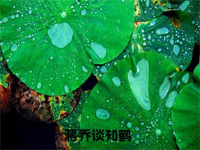 蒋乔谈知鹤(蒋乔谈知鹤全文免费阅读)_蒋乔谈知鹤小说最新章节免费阅读