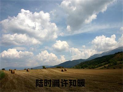 陆时渊许知暖（陆时渊许知暖）全文免费阅读无弹窗_陆时渊许知暖最新小说_笔趣阁（陆时渊许知暖）