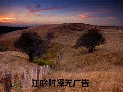 江吟时泽后续+番外（江吟时泽）全文免费阅读无弹窗大结局_（江吟时泽后续+番外）江吟时泽免费阅读无弹窗最新章节列表（江吟时泽后续+番外）