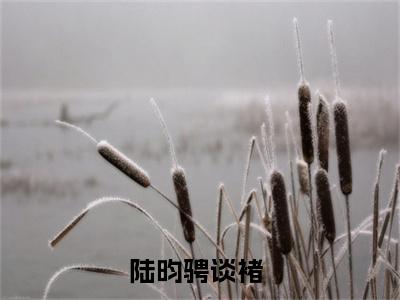 陆昀骋谈褚（陆昀骋谈褚小说）全文免费阅读无弹窗大结局_(陆昀骋谈褚小说)最新章节列表_笔趣阁（陆昀骋谈褚）