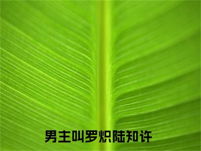 罗炽陆知许全集小说（罗炽陆知许）全文免费阅读无弹窗大结局_罗炽陆知许最新章节列表_笔趣阁（罗炽陆知许）