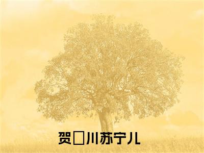 热门小说（贺璟川苏宁儿）精选章节阅读-高质量小说推荐阅读