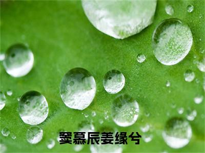 窦慕辰姜缘兮小说最新章节免费阅读-窦慕辰姜缘兮全文赏析完整版