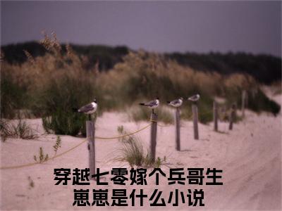 穿越七零嫁个兵哥生崽崽免费阅读（许明月陆承宇）完整版全文全章节阅读（许明月陆承宇免费+番外）