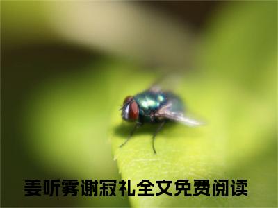 姜听雾谢寂礼（姜听雾谢寂礼）小说全文免费阅读正版无弹窗，姜听雾谢寂礼免费阅读