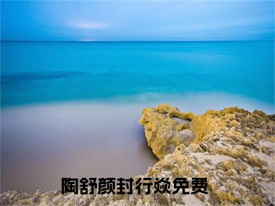 陶舒颜封行焱无弹窗最新章节列表_笔趣阁