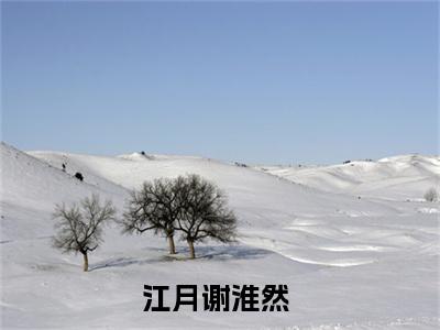 江月谢淮然（江月谢淮然）多人推荐-好看的小说（江月谢淮然）完整版免费阅读