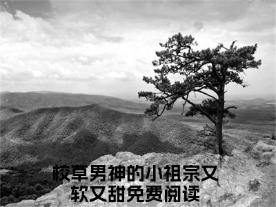 校草男神的小祖宗又软又甜（许晟林芯）全文免费阅读无弹窗-许晟林芯完整版全文在线赏析