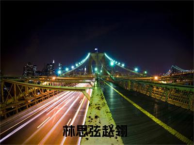 全章节完整《林思弦赵翎》全文阅读《林思弦赵翎》