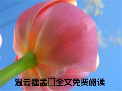 《温云霆孟婳》全文免费阅读最新章节大结局-温云霆孟婳无弹窗阅读