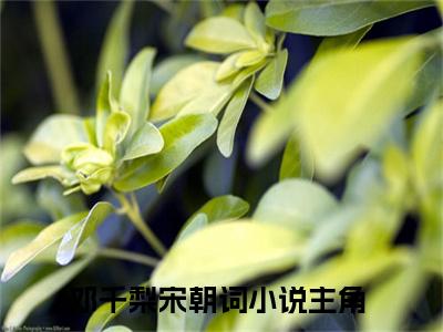 邓千梨宋朝词（邓千梨宋朝词）全文在线阅读无弹窗大结局_(邓千梨宋朝词免费阅读全文大结局)最新章节列表_笔趣阁（邓千梨宋朝词）