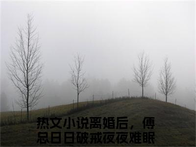 叶聆之傅明司（离婚后，傅总日日破戒夜夜难眠小说）全文免费阅读无弹窗大结局_（离婚后，傅总日日破戒夜夜难眠）小说最新章节列表