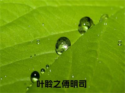 离婚后，傅总日日破戒夜夜难眠免费版最新更新阅读-叶聆之傅明司小说全文在线阅读